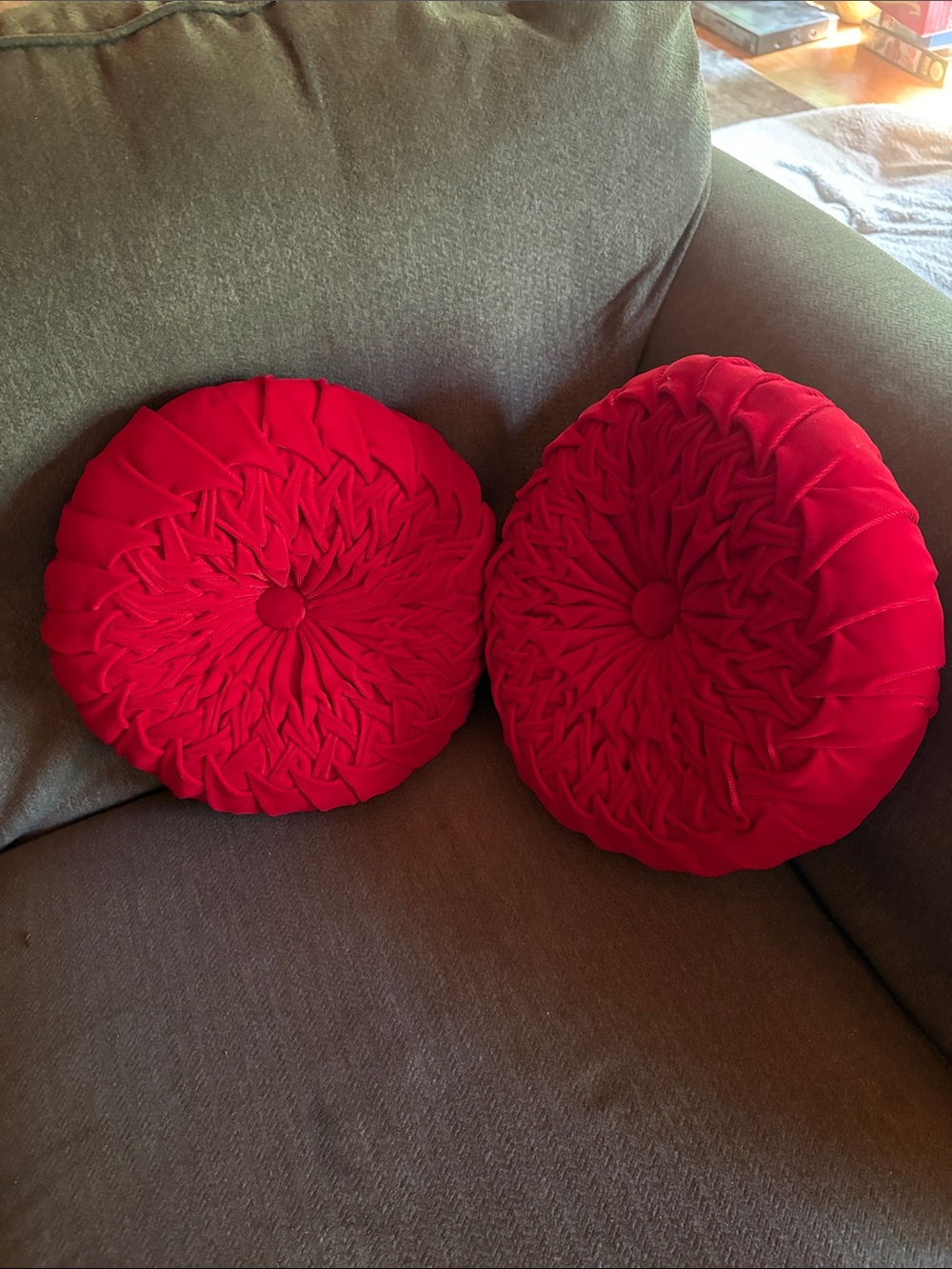 2 Vintage Round Velvet Decorative Throw Pillow
